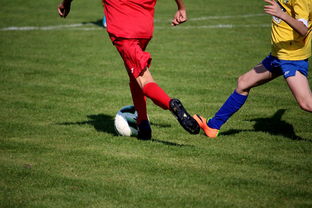 kaiyun 开云体育-NBA球员训练计划优化,nba球星训练计划