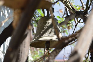 开云体育登陆入口-NBA球员转会市场动态,nba转会名单