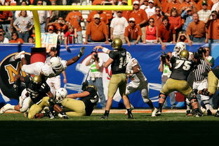 开云·体育官网APP下载-NBA球员职业发展规划实施,nba职业规则