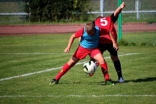 开云官网首页-中国足球俱乐部运营效率调查，中国足球俱乐部运营效率调查问卷